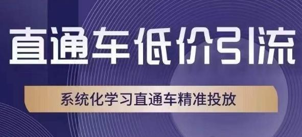 直通车低价引流课，系统化学习直通车精准投放-海旭网创