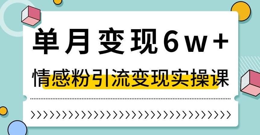 单月变现6W+，抖音情感粉引流变现实操课，小白可做，轻松上手，独家赛道【揭秘】-海旭网创