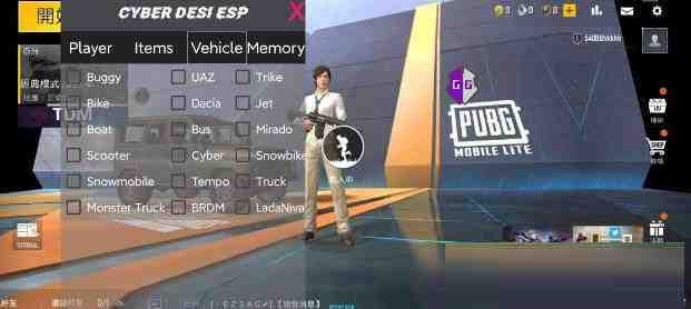 PUBG轻量老外裸奔绘制+自瞄 支持ROOT和框架 里面有全局离线-海旭网创