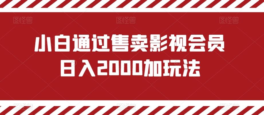 小白通过售卖影视会员日入2000加玩法-海旭网创