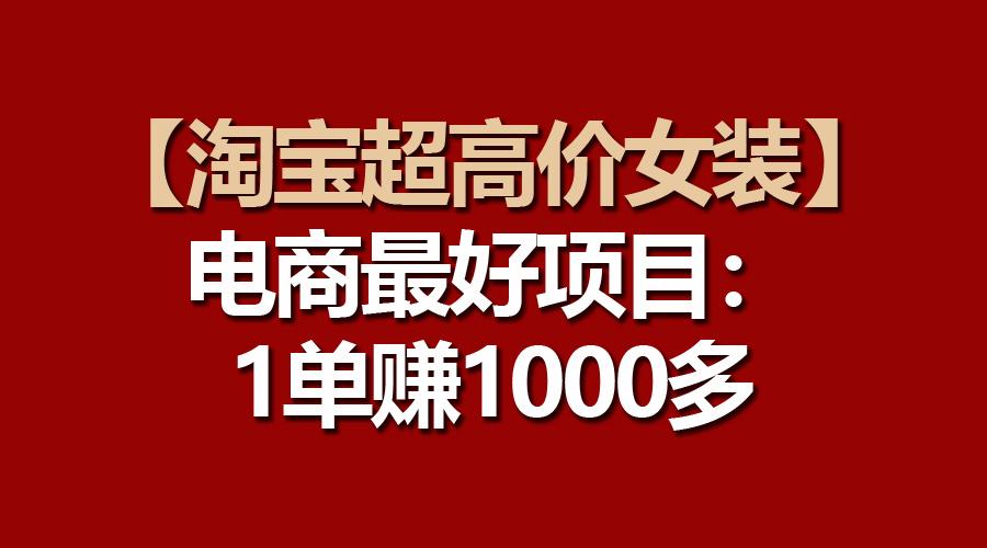 【淘宝超高价女装】电商最好项目：一单赚1000多-海旭网创