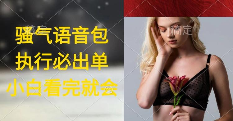 (9589期)执行就出单，日入2000+，超火骚气语音包，小白看完课程就能马上实操-海旭网创