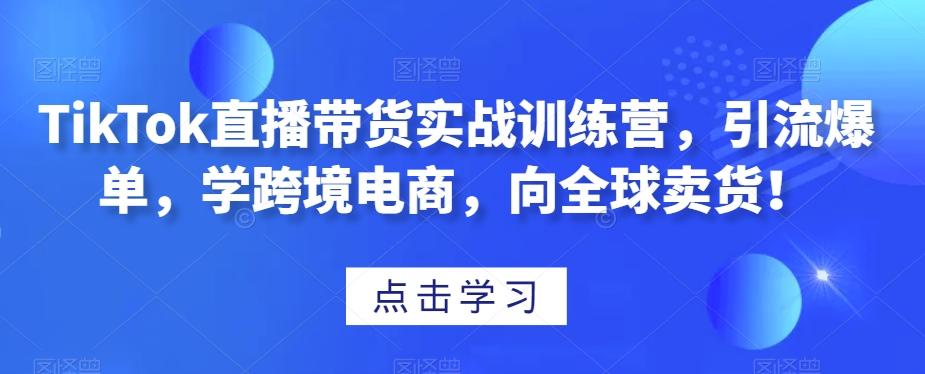 TikTok直播带货实战训练营，引流爆单，学跨境电商，向全球卖货！-海旭网创