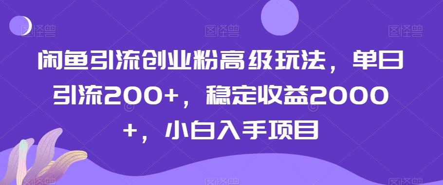 闲鱼引流创业粉高级玩法，单日引流200+，稳定收益2000+，小白入手项目-海旭网创