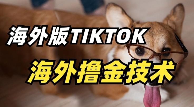 抖音海外版tiktok撸金技术，这个风口行业，赚钱真的不难【揭秘】-海旭网创