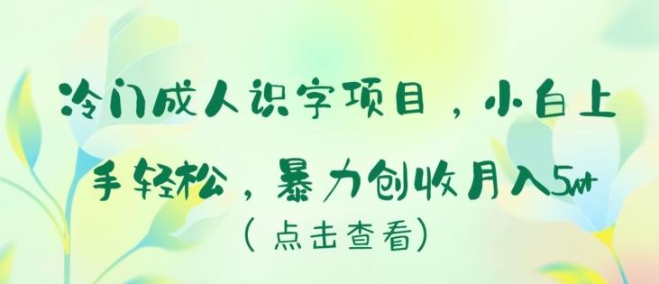 冷门成人识字项目，小白上手轻松，暴力创收月入5w+【揭秘】-海旭网创