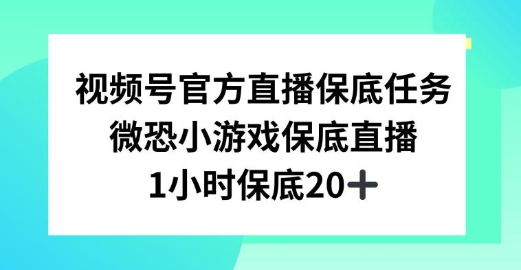 视频号直播任务，微恐小游戏，1小时20+【揭秘】-海旭网创