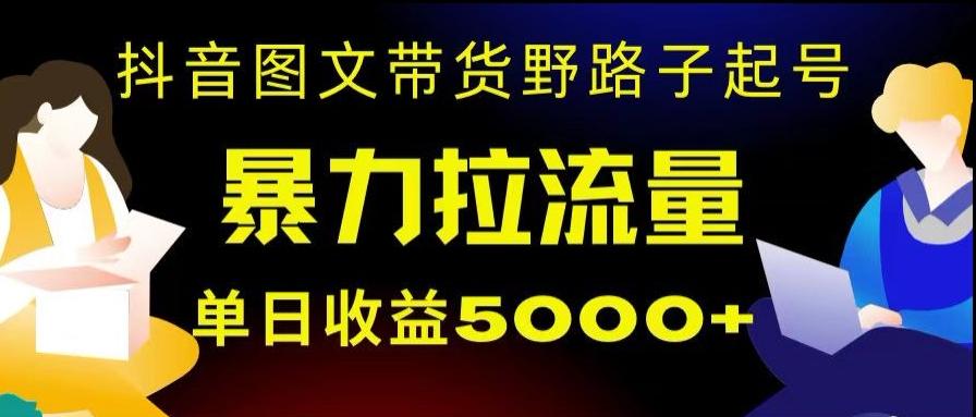 抖音图文带货暴力起号，单日收益5000+，野路子玩法，简单易上手，一部手机即可【揭秘】-海旭网创
