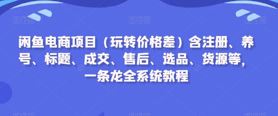 闲鱼电商项目(玩转价格差)含注册、养号、标题、成交、售后、选品、货源等，一条龙全系统教程-海旭网创