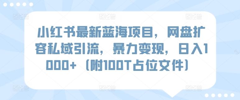 小红书最新蓝海项目，网盘扩容私域引流，暴力变现，日入1000+(附100T占位文件)【揭秘】-海旭网创