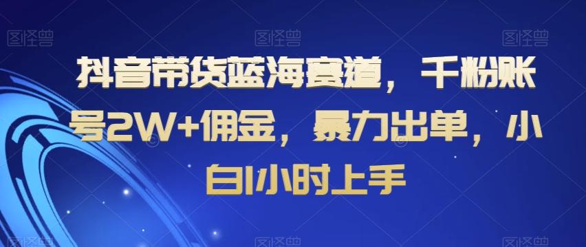 抖音带货蓝海赛道，千粉账号2W+佣金，暴力出单，小白1小时上手【揭秘】-海旭网创