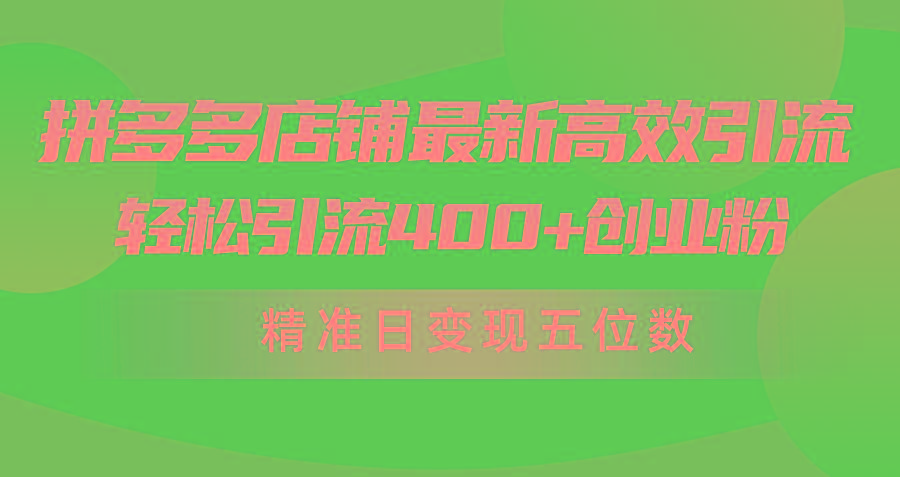 (10041期)拼多多店铺最新高效引流术，轻松引流400+创业粉，精准日变现五位数！-海旭网创