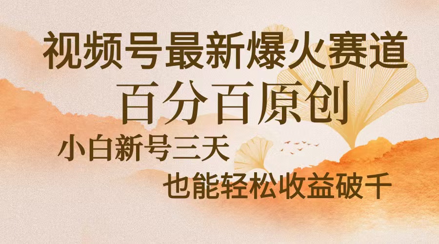 视频号最新爆火赛道，中老年粉深信不疑，百分百原创，新号三天收益轻松…-海旭网创