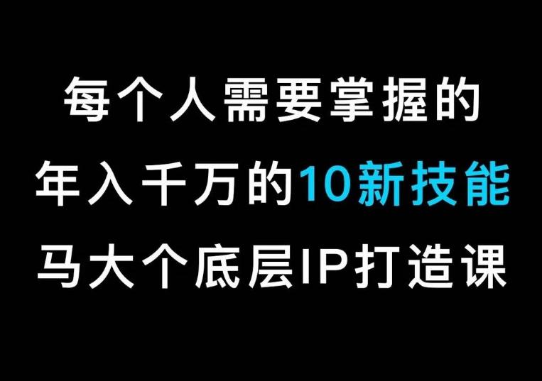 马大个的IP底层逻辑课，​每个人需要掌握的年入千万的10新技能，约会底层IP打造方法！-海旭网创
