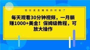 每天观看30分钟视频，一月躺赚1000+美金！保姆级教程，可放大操作【揭秘】-海旭网创