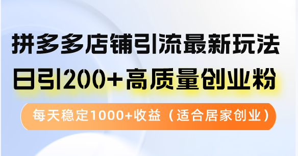 拼多多店铺引流最新玩法，日引200+高质量创业粉，每天稳定1000+收益(...-海旭网创