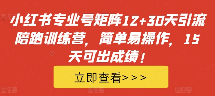 小红书专业号矩阵12+30天引流陪跑训练营，简单易操作，15天可出成绩!-海旭网创