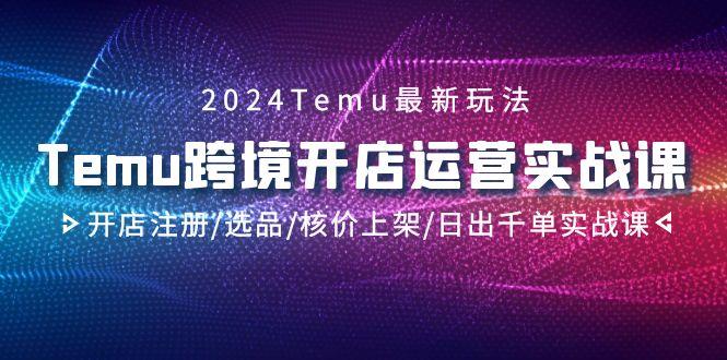 2024Temu跨境开店运营实战课，开店注册/选品/核价上架/日出千单实战课-海旭网创
