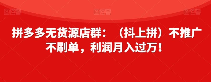 拼多多无货源店群：（抖上拼）不推广不刷单，利润月入过万！【揭秘】-海旭网创