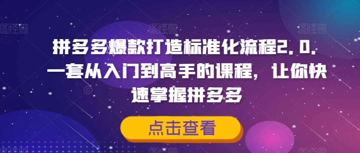 拼多多爆款打造标准化流程2.0，一套从入门到高手的课程，让你快速掌握拼多多-海旭网创