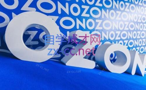 森哥·出海俄罗斯电商实操(2024)-海旭网创