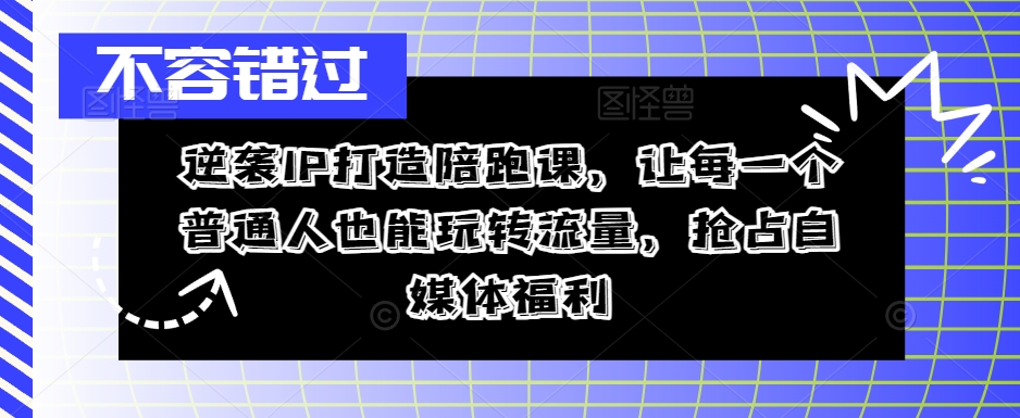 逆袭IP打造陪跑课，让每一个普通人也能玩转流量，抢占自媒体福利-海旭网创