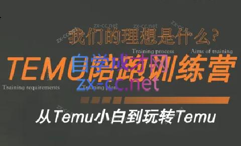 苗苗·拼多多跨境（temu）课程-海旭网创
