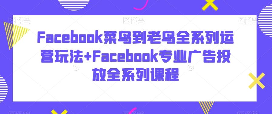 Facebook菜鸟到老鸟全系列运营玩法+Facebook专业广告投放全系列课程-海旭网创
