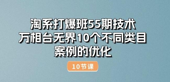 淘系打爆班55期技术：万相台无界10个不同类目案例的优化(10节)-海旭网创