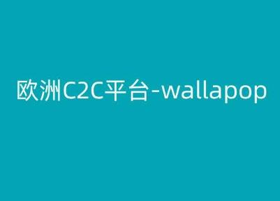 欧洲C2C平台-wallapop-kim跨境电商教程-海旭网创