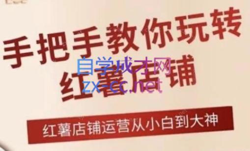 海燕老师·2024手把手教你玩转红薯店铺-海旭网创