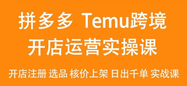 2024Temu最新玩法，Temu跨境开店运营实操课，开店注册/选品/核价上架/日出千单实战课-海旭网创