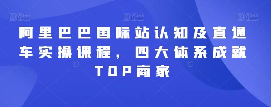 阿里巴巴国际站认知及直通车实操课程，四大体系成就TOP商家-海旭网创
