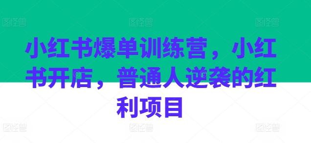 小红书爆单训练营，小红书开店，普通人逆袭的红利项目-海旭网创