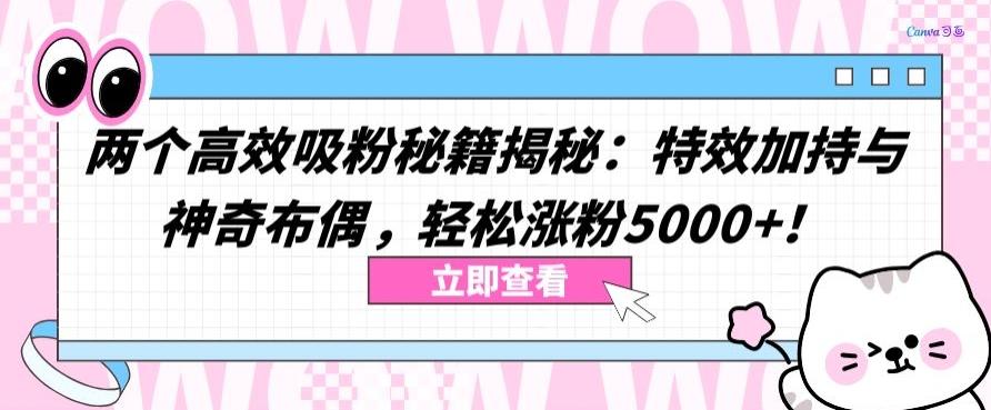 两个高效吸粉秘籍揭秘：特效加持与神奇布偶，轻松涨粉5000+【揭秘】-海旭网创