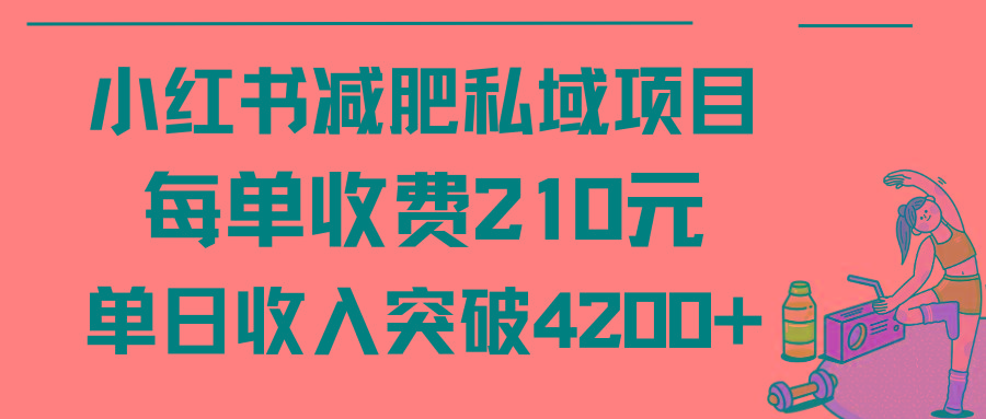 (9466期)小红书减肥私域项目每单收费210元单日成交20单，最高日入4200+-海旭网创