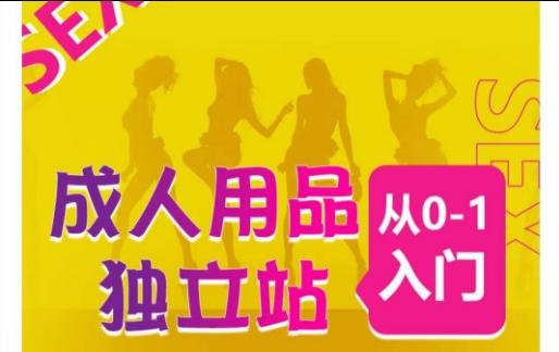 成人用品独立站从0-1入门，成品独立站运营全流程教学，七大好卖成品独立站推荐-海旭网创