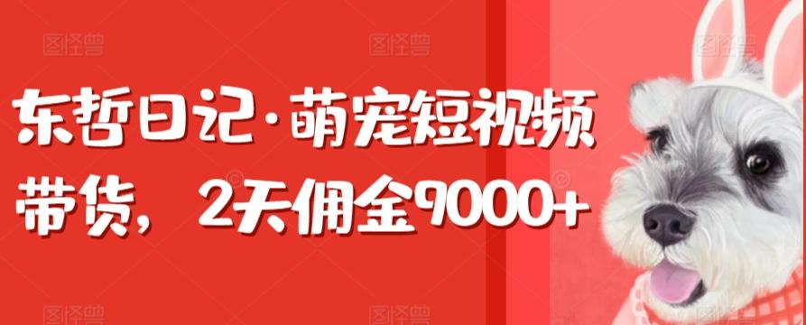 东哲日记·萌宠短视频带货，2天佣金9000+-海旭网创