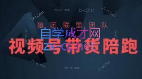 狼团联盟·2024视频号带货-海旭网创