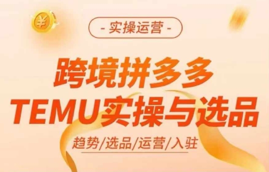 跨境拼多多TEMU实操与选品，多多temu跨境选品运营实操-海旭网创