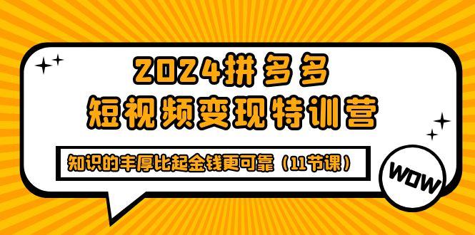 (9817期)2024拼多多短视频变现特训营，知识的丰厚比起金钱更可靠(11节课)-海旭网创