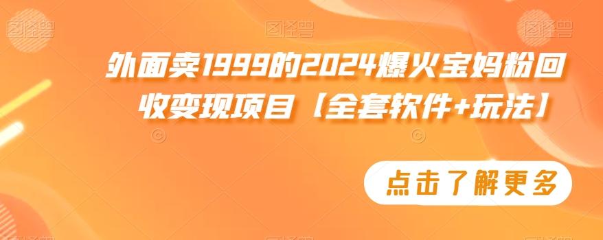 外面卖1999的2024爆火宝妈粉回收变现项目【全套软件+玩法】【揭秘】-海旭网创