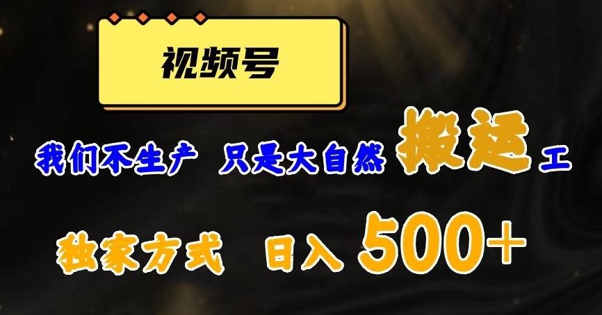 视频号轻松搬运日赚500+，一个1分钟1条原创视频【揭秘】-海旭网创