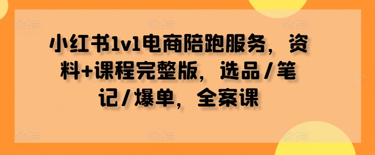 小红书1v1电商陪跑服务，资料+课程完整版，选品/笔记/爆单，全案课-海旭网创