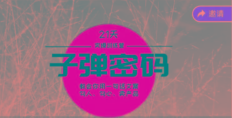 《子弹密码训练营》-用一句话文案勾人勾心卖产品，21天学到顶尖文案大师策略和技巧-海旭网创