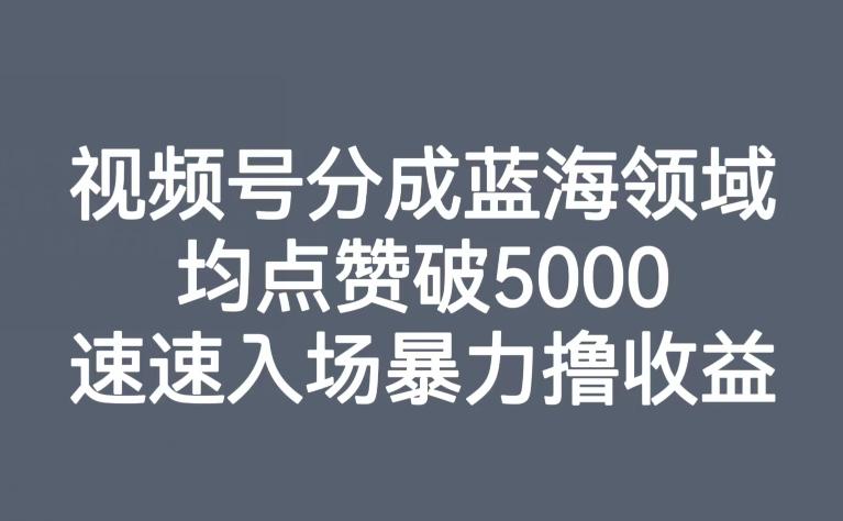 视频号分成蓝海领域，均点赞破5000，速速入场暴力撸收益-海旭网创