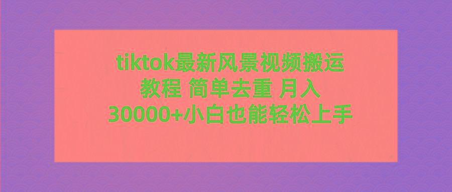 (9804期)tiktok最新风景视频搬运教程 简单去重 月入30000+附全套工具-海旭网创