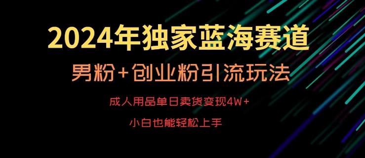 2024年独家蓝海赛道，成人用品单日卖货变现4W+，男粉+创业粉引流玩法，不愁搞不到流量【揭秘】-海旭网创