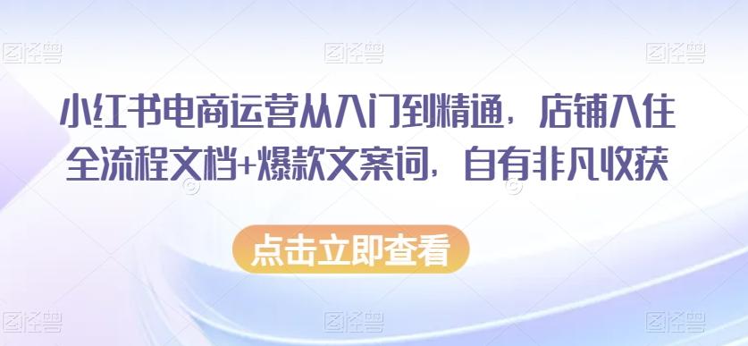 小红书电商运营从入门到精通，店铺入住全流程文档+爆款文案词，自有非凡收获-海旭网创