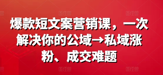 爆款短文案营销课，一次解决你的公域→私域涨粉、成交难题-海旭网创
